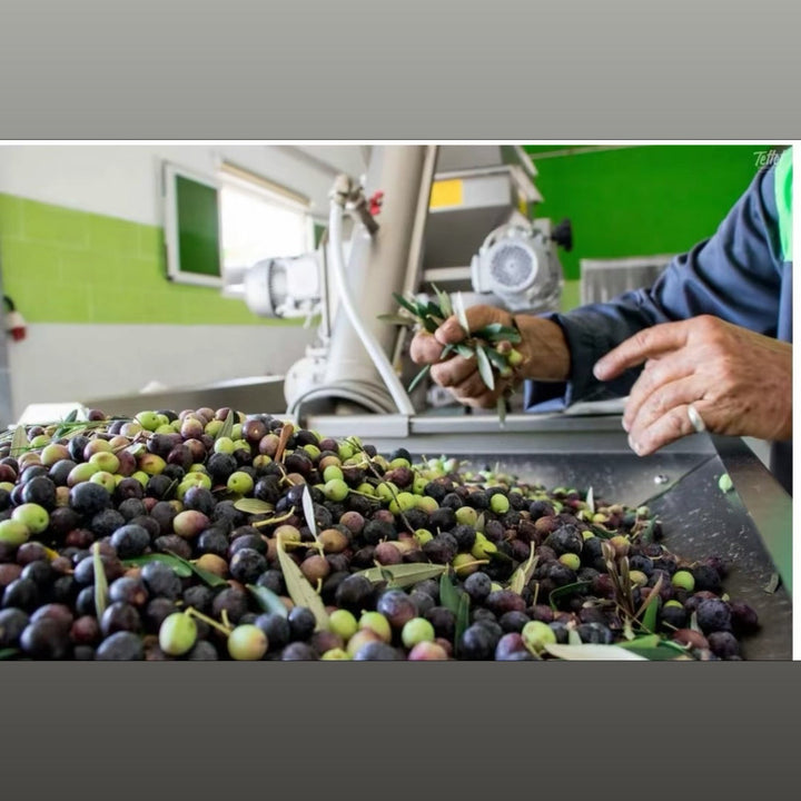 Organic Olive Oil Infused with Garlic - (60 ml)