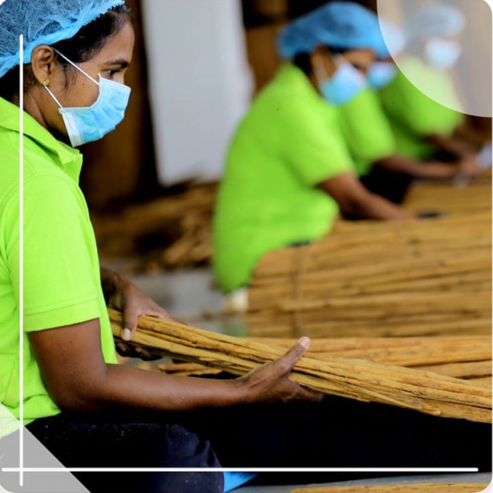 The Alba Cinnamon(50 grams) & Infused Organic Olive Oil -Harrisa + extra virgin olive oil +Rosemary + garlic(4 x 60ml)