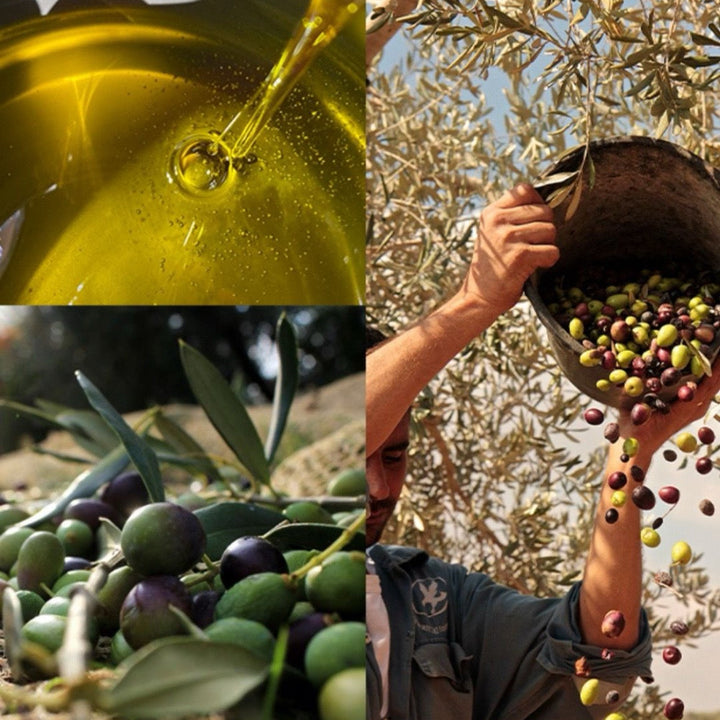 Organic Olive Oil Infused with Garlic - (60 ml)