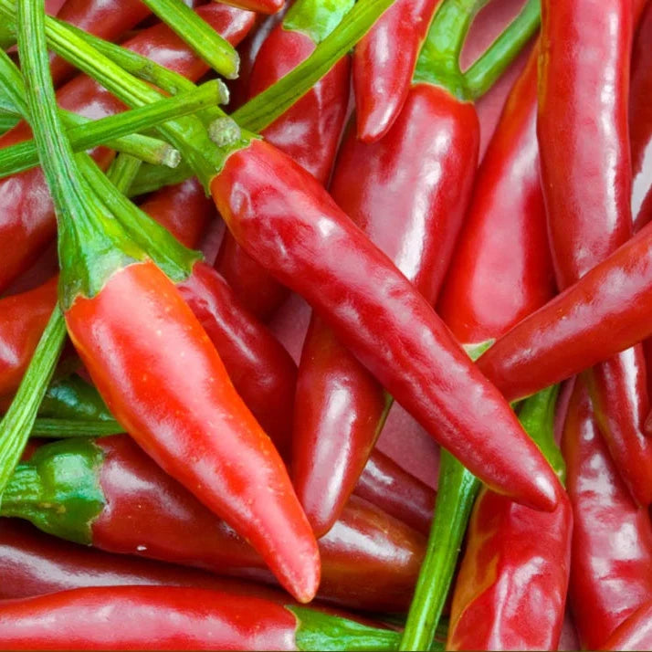 Trio of Infused Organic Olive Oils – Tuscan Herbs + Harissa + Basil (3 × 250 ml)