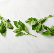 Trio of Infused Organic Olive Oils – Tuscan Herbs + Harissa + Basil (3 × 250 ml)