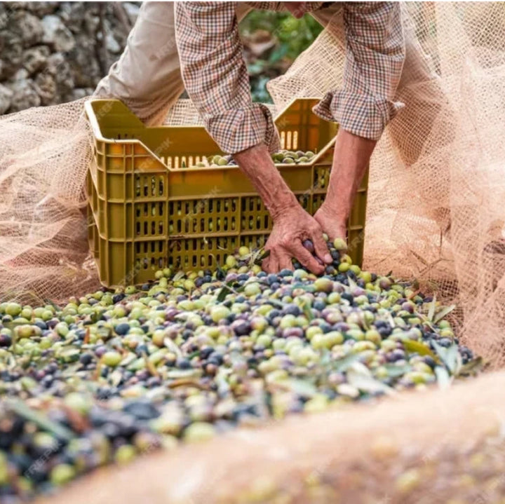 Set of 4 Infused Organic Olive Oils –  Herb Province + lime + garlic+ fig (4 × 60ml)