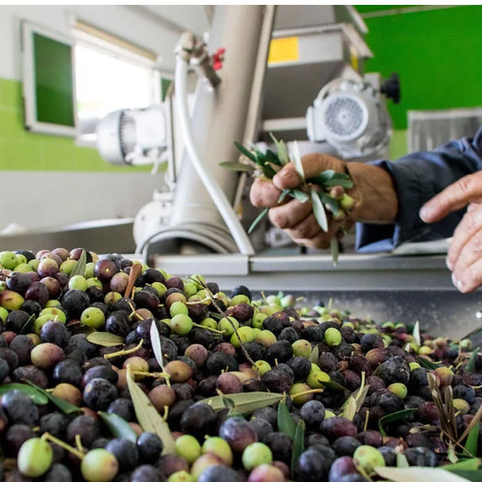 Organic Olive Oil Infused with Herb Province - (60 ml)